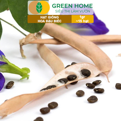 Hạt Giống Hoa Đậu Biếc Greenhome, Gói 1gr~15 hạt, Sai Hoa, Màu Rực Rỡ, Dễ Trồng Quanh Năm, Nảy Mầm Cao H06