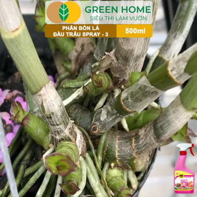 Phân Bón Lá Đầu Trâu Spray-3 Greenhome, Bình Điền, Chai 500ml, Dưỡng Hoa Lâu Tàn, Chuyên Lan Và Hoa