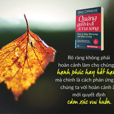 Quẳng Gánh Lo Đi Và Vui Sống (Bìa Cứng)