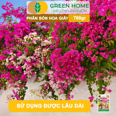 Phân Bón Hoa Giấy Greenhome, Bao 700gr, Hữu Cơ, Giúp Thân Cứng Cáp, Tạo Tán, Ra Bông Nhiều, Lâu Tàn
