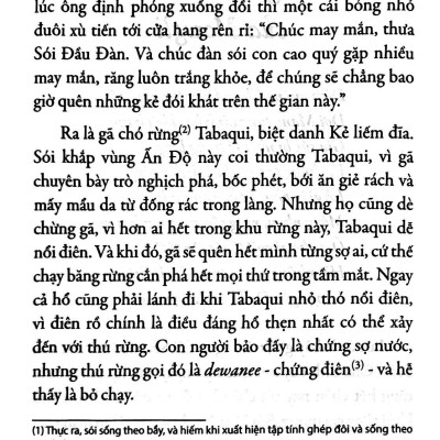 Sách - Tác Phẩm Chọn Lọc - Văn Học Anh - Chuyện Rừng Xanh (Tái Bản 2024)