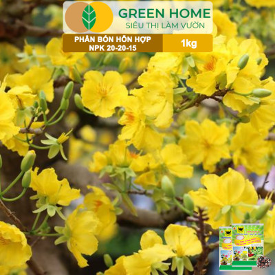 Phân Bón NPK 20-20-15, Greenhome, Đầu Trâu, 1Kg, Chuyên Hoa, Cây Cảnh Giúp Ra Hoa, Hoa Đẹp, Lâu Tàn