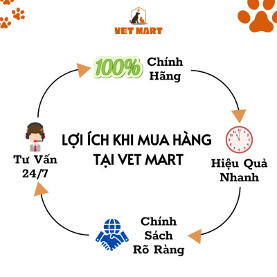 Sữa Tắm Charmie Ngọc Lan Tây Cho Thú Cưng - Hương Thơm Bền Lâu, Dưỡng Lông 280ml Fivevet