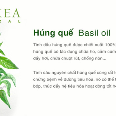 Tinh Dầu Húng Quế Biyokea (10ml)