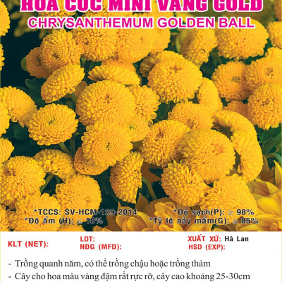 Hạt giống hoa Cúc Mini Vàng Gold VTS166