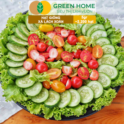 Hạt Giống Xà Lách Xoăn Greenhome, Gói 5gr~2200 hạt, Dễ Trồng Quanh Năm, Thu Hoạch Nhanh, Năng Suất Cao R21