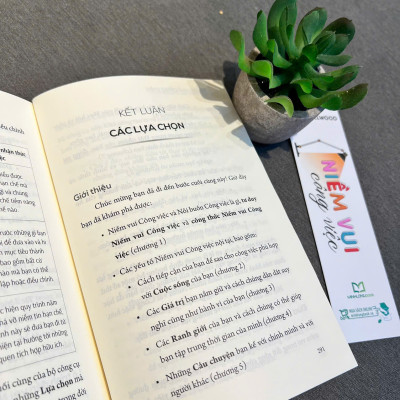 Sách: Niềm Vui Công Việc - Ngăn Chán Nản - Tìm Đam mê