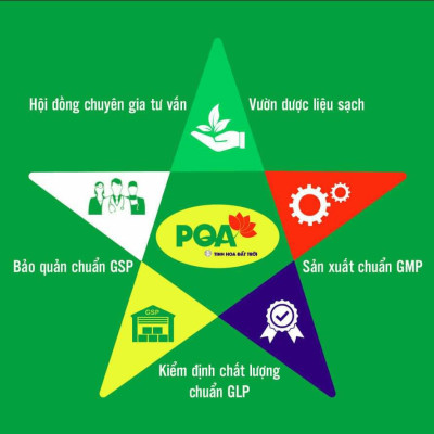 Trắc Bách Diệp PQA Hỗ Trợ Cầm Máu Dùng Cho Người Bị Chảy Máu Cam Hay Mắc Các Chứng Xuất Huyết Hộp 10 Ống
