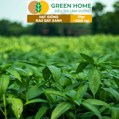 Hạt Giống Rau Đay Xanh GreenHome, Gói 20gr~2500 hạt , Dễ Trồng Quanh Năm, Thu Hoạch Nhanh R23