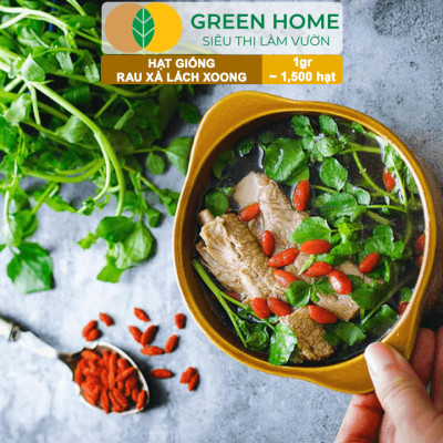 Hạt Giống Rau Xà Lách Xoong Greenhome, Gói 0.1g~1500 hạt, Dễ Trồng Quanh Năm, Độ Nảy Mầm Cao, Thu Hoạch Nhanh, Năng Suất Cao R01